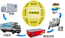 深圳国际物流冷链货运公司